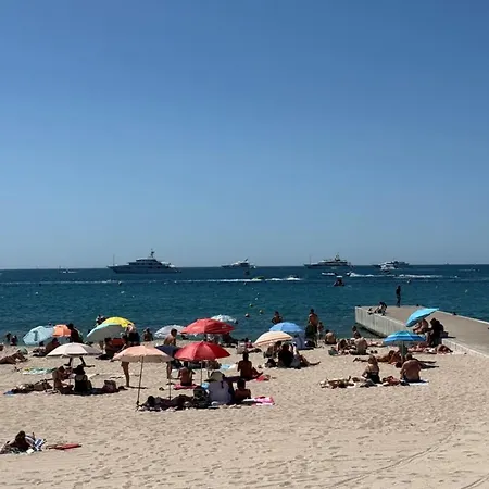1-bedroom 5 Minutes From The Congress Center Cannes