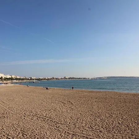 Conseil Immo - Moderne A 250 M Du Palais Des Festivals Et Des Plages Apartman Cannes