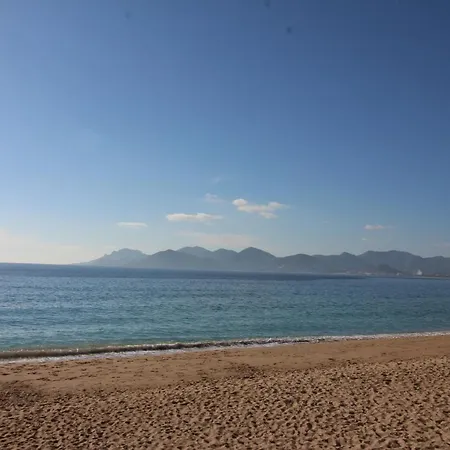 Conseil Immo - Moderne A 250 M Du Palais Des Festivals Et Des Plages Apartman *