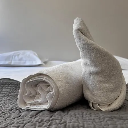 2-Bedroom Apt 5 Minutes From The Congress Center 戛纳